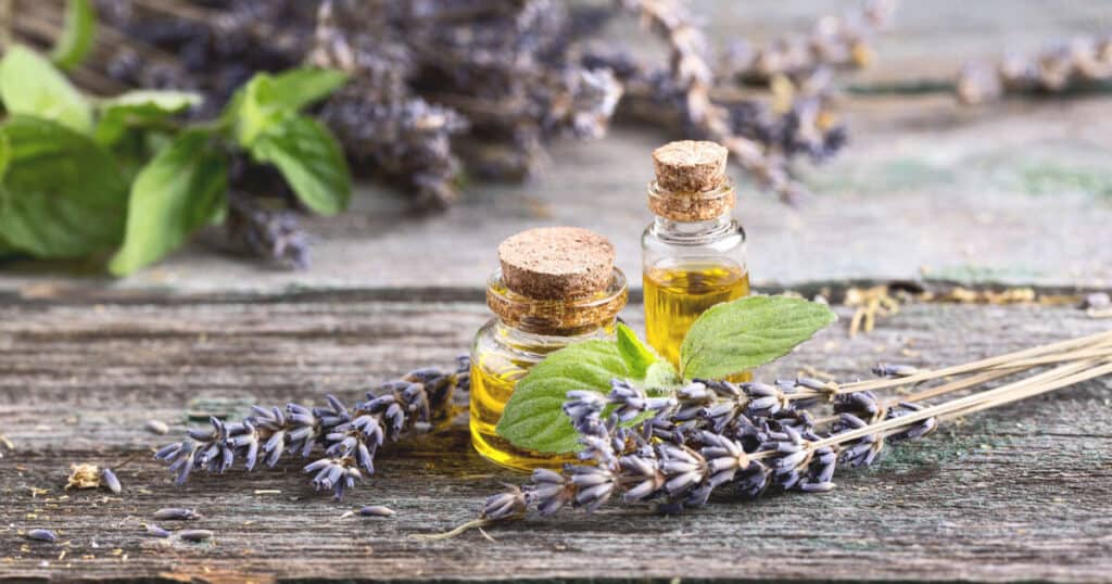 10 Summer Essential Oil Blends for Diffuser at Home 25 lavender-essential-oil