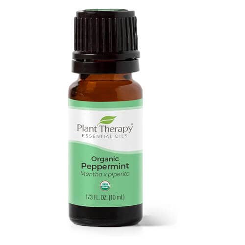 10 Best Essential Oil Blends for Winter to Create a Cozy Ambiance at Home 22 plant-therapy-peppermint-essential-oil