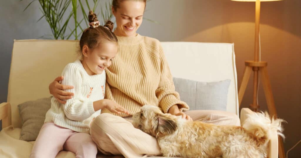 The 10 Best Fragrance Oils for Diffusers 39 carrier oil is safe for kids and pets at home