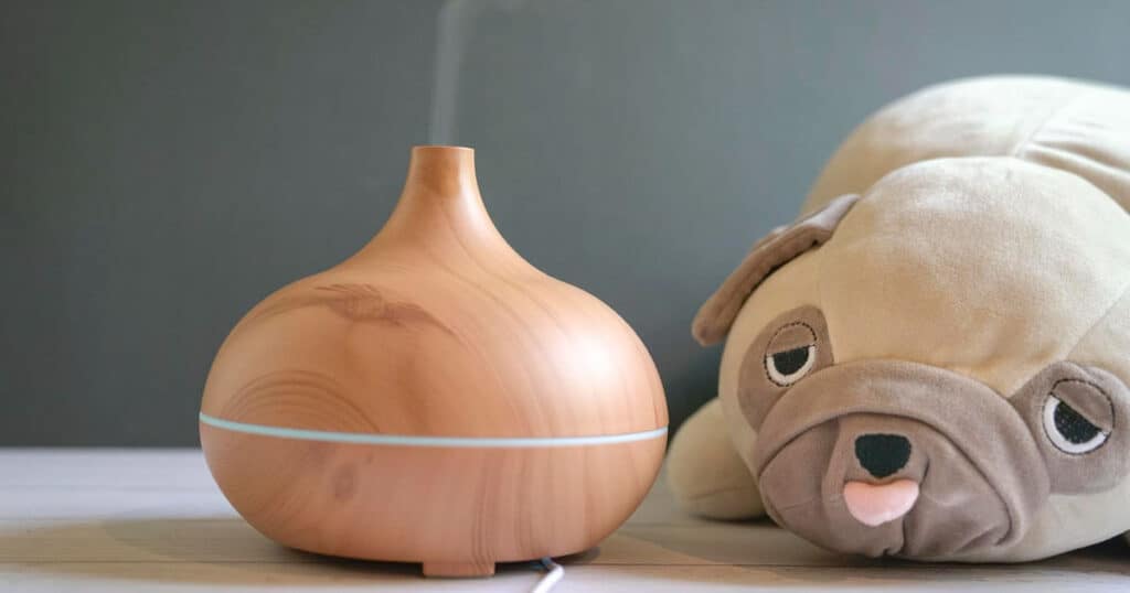 5 Tips For Diffusing Essential Oils at Home With Pets 28 diffusing-essential-oils-with-pets