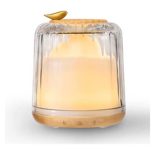 glass and wood diffuser