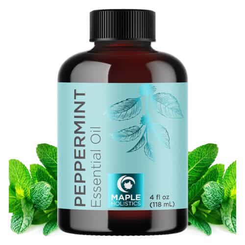 5 Essential Oils for Home Selling: Scents That Seal the Deal 21 maple holistic peppermint essential oil