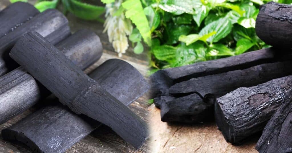 10 Surprising Ways Air Purifying Bags Can Freshen Your Home 17 bamboo charcoal wood charcoal