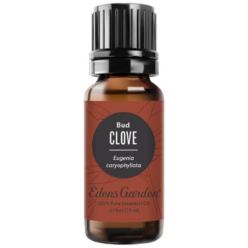 10 Best Essential Oil Blends for Winter to Create a Cozy Ambiance at Home 23 edens-garden-clove-bud-essential-oil