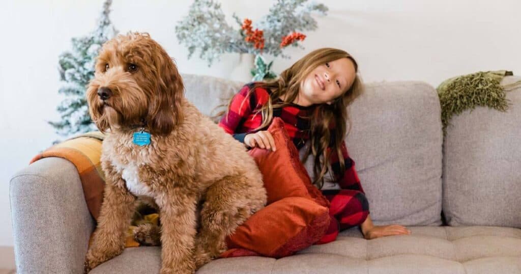 10 Best Essential Oil Blends for Winter to Create a Cozy Ambiance at Home 39 kid-and-pet-in-sofa-on-a-winter-season