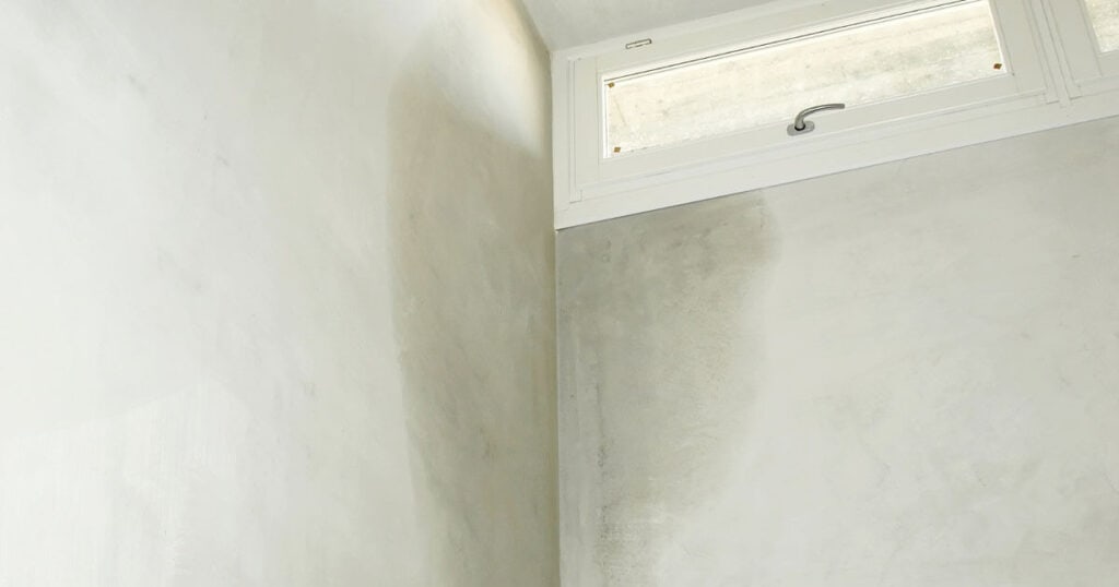 10 Surprising Ways Air Purifying Bags Can Freshen Your Home 15 moisture-in-walls