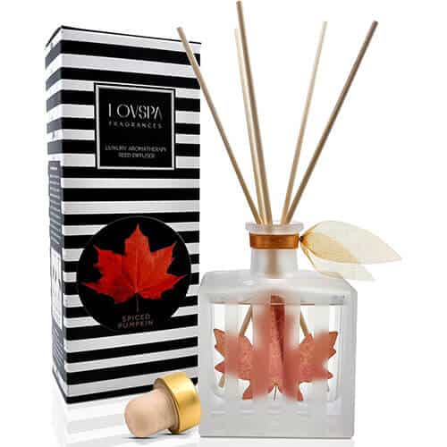 The 5 Best Pumpkin Spice for Home Fragrance 17 lovspa-spiced-pumpkin-reed-diffuser