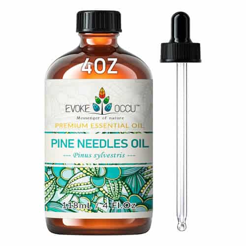 15 Best Christmas Essential Oils for a Relaxing Holiday at Home 17 evoke-occu-pine-needle-essential-oil