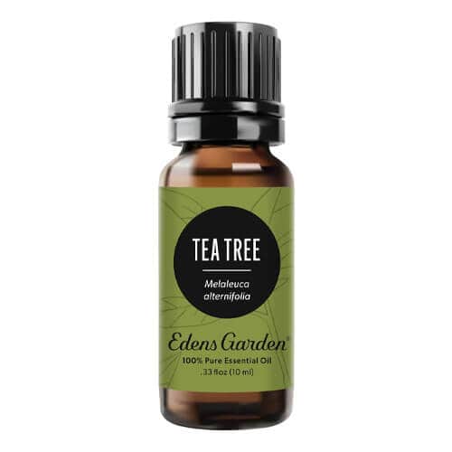 edens-garden-tea-tree-pure-premium-essential-oil