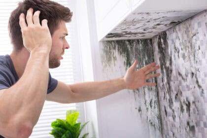 How to Remove Mildew Smell in Your Home