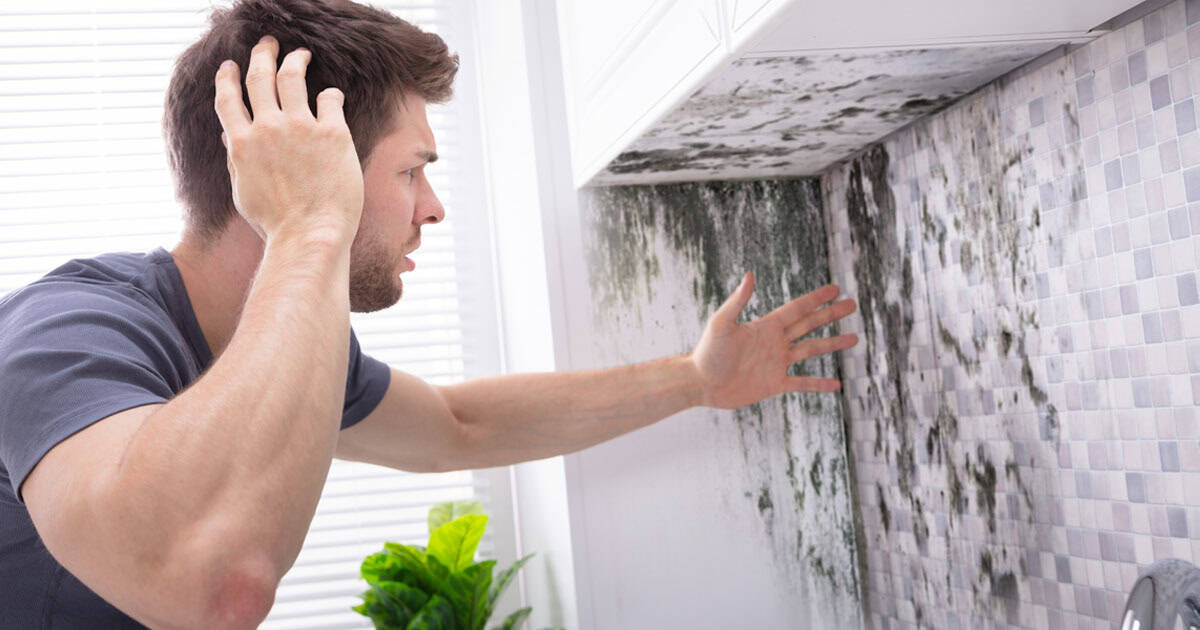 15 Best Effective Methods On How to Remove Mildew Smell In Your Home 9 How to Remove Mildew Smell in Your Home