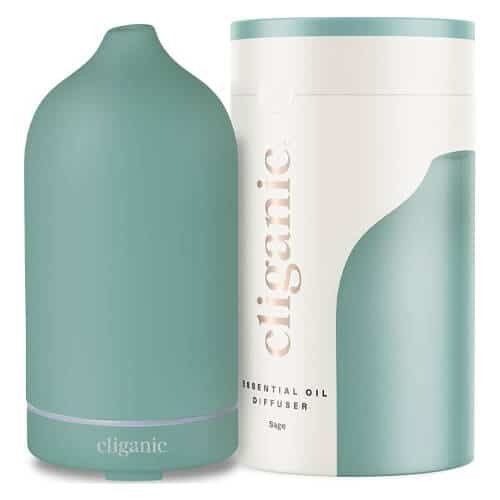 15 Best Effective Methods On How to Remove Mildew Smell In Your Home 16 cliganic-ceramic-essential-oil-diffuser-sage