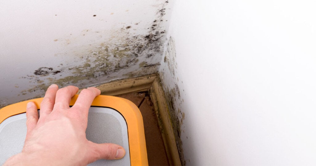 15 Best Effective Methods On How to Remove Mildew Smell In Your Home 10 finding-the-source-of-mildew-smell