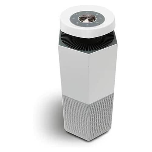 15 Best Effective Methods On How to Remove Mildew Smell In Your Home 17 puraclenz-air-purifier-with-hepa-filter