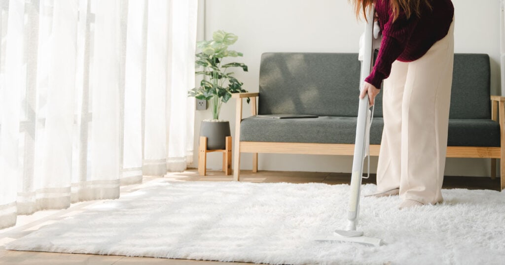 14 Best Carpet Deodorizer Powders: Expert-Recommended for Pet Odors 27 lady cleaning carpet