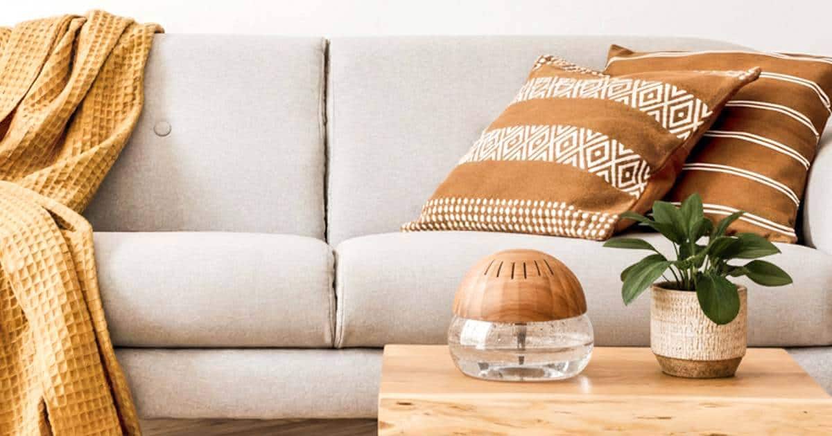 7 Best Air Revitalizers for Air Purification and Natural Aromatherapy 9 best air revitalizers for air purification