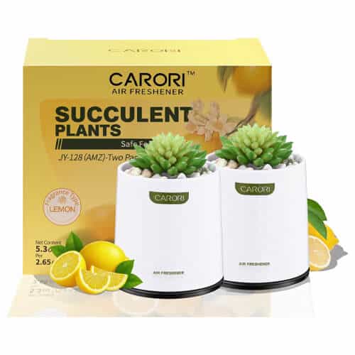 Pet-Safe And Allergy-Safe Home Fragrances: Expert Tips 19 carori odor eliminator gel air fresheners