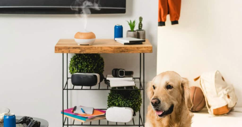 Pet-Safe And Allergy-Safe Home Fragrances: Expert Tips 11 dog in the living room with diffuser on the table