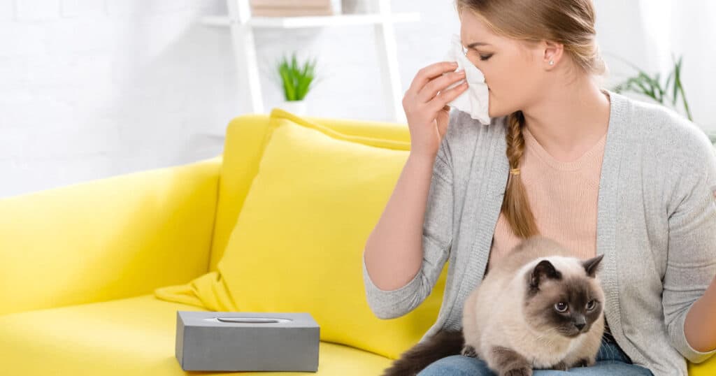 Pet-Safe And Allergy-Safe Home Fragrances: Expert Tips 10 lady sneezing in a yellow sofa