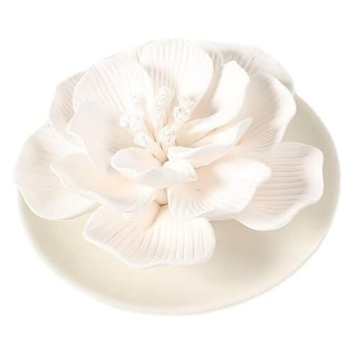 Aroma Stone Diffuser: The Simple Way to Natural Home Fragrance 18 ceramic mini stone diffuser