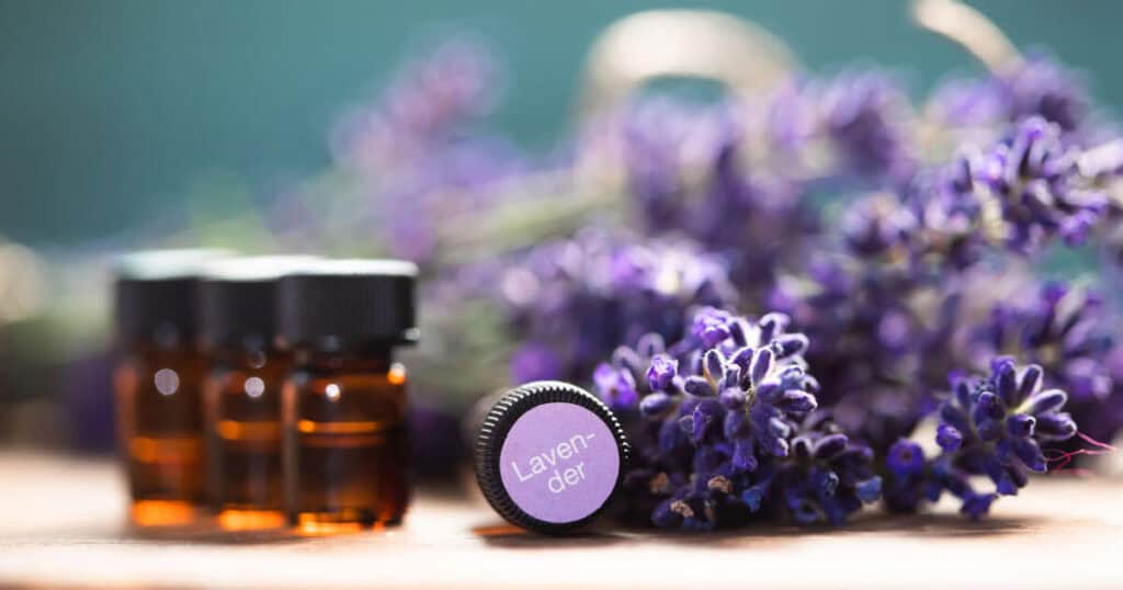 Are Essential Oils Safe for Your Lungs? VOCs and GC/MS Tested Brands 14 lavender essential oil bottles