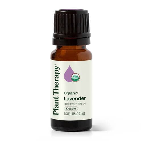 Aroma Stone Diffuser: The Simple Way to Natural Home Fragrance 19 plant therapy lavender essential oil usda certified