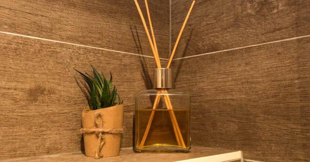 reed diffuser beside an indoor plant