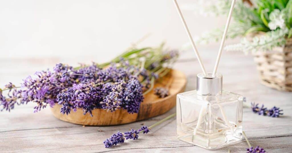 reed diffuser with lavender