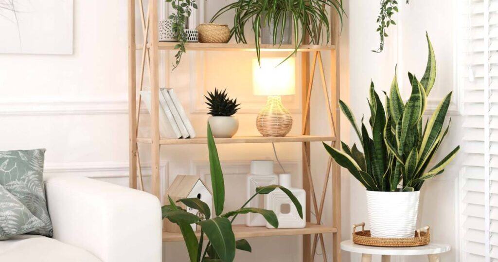The 10 Healthiest Ways to Fragrance Your Home: A 2026 Guide 34 living room with houseplants