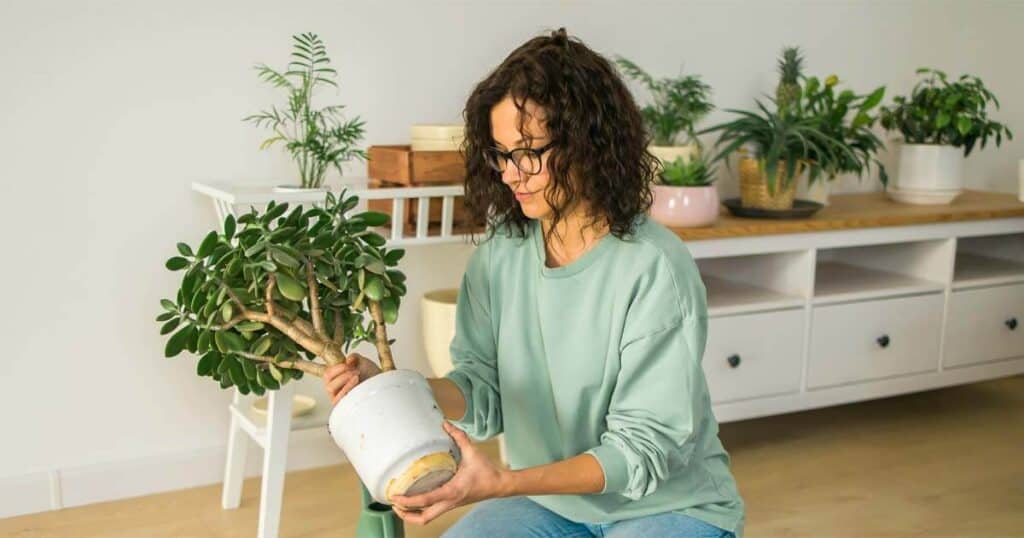 The 10 Healthiest Ways to Fragrance Your Home: A 2026 Guide 42 woman potted plants indoor