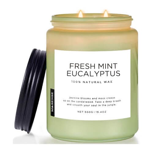 10 Best Candle Scents of 2026: Top Picks Loved by Real Buyers 15 msense eucalyptus mint candle